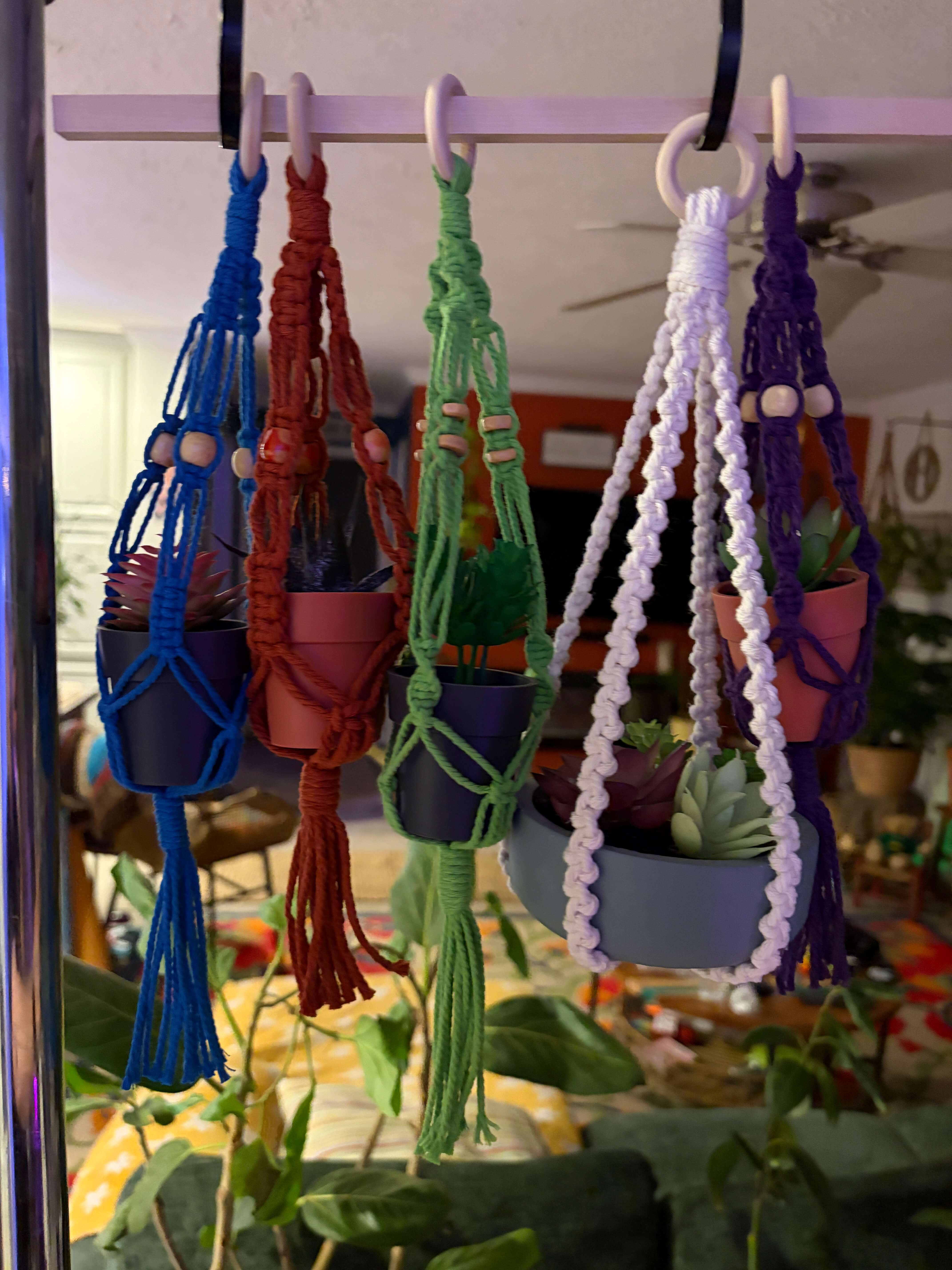 Mini Plant Hangers