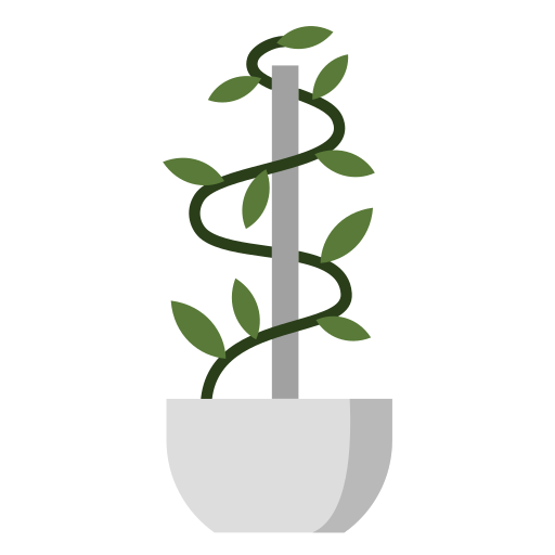Golden Pothos