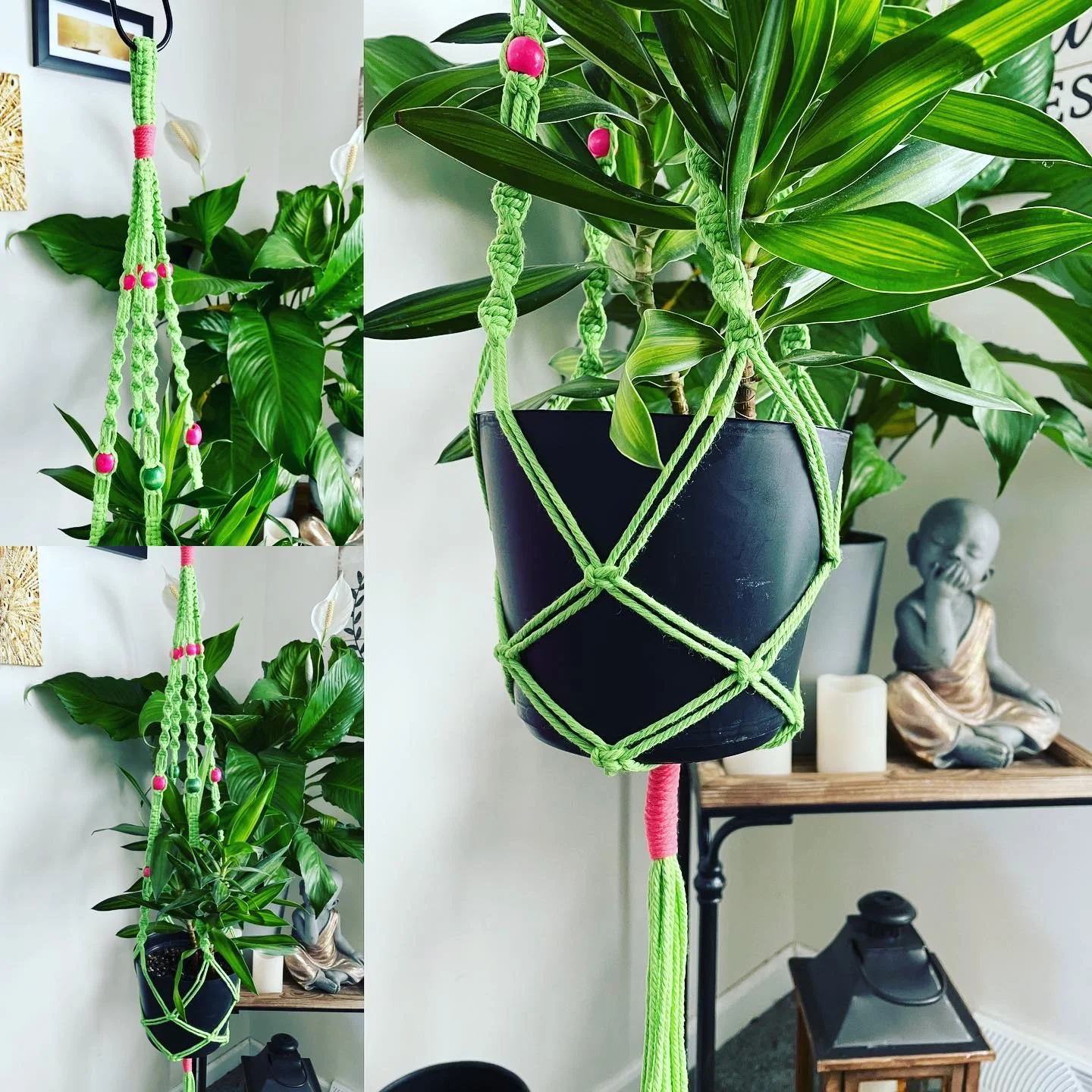 Macramé Plant Hanger